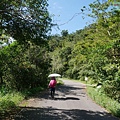 P1570644.jpg