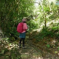 P1570646.jpg