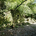 P1570650.jpg