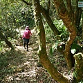 P1570653.jpg