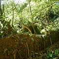 P1570651.jpg