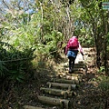 P1570657.jpg