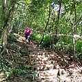 P1570656-.jpg