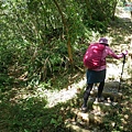 P1570655.jpg