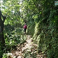 P1570654.jpg