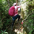 P1570663.jpg