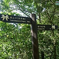P1570661.jpg