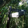 P1570667.jpg