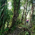 P1570662.jpg