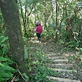 P1570672.jpg