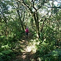 P1570674.jpg