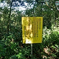 P1570678.jpg