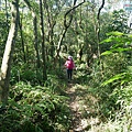 P1570682.jpg