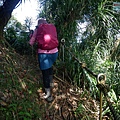 P1570689.jpg