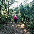 P1570693.jpg