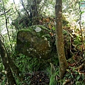 P1570692.jpg