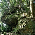 P1570690.jpg