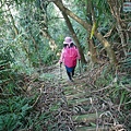 P1570694.jpg