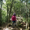 P1570699.jpg