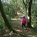 P1570700.jpg