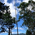 P1570712.jpg