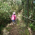 P1570717.jpg