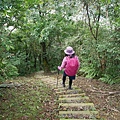 P1570720.jpg