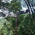 P1570726.jpg