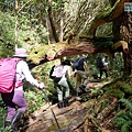 P1580020.jpg