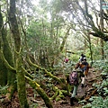 P1580054.jpg