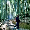 P1580433.jpg