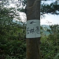 P1590474.jpg