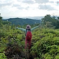 P1590477.jpg