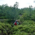 P1590482.jpg