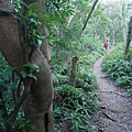P1590540.jpg