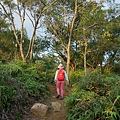 P1590550.jpg