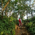 P1590549.jpg