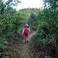P1590553.jpg