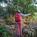 P1590554.jpg