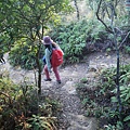 P1590561.jpg