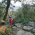 P1590560.jpg
