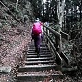 P1600819.jpg