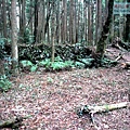 P1600821.jpg