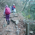 P1600826.jpg