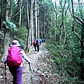 P1600823.jpg