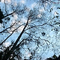 P1600827.jpg