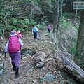 P1600831.jpg
