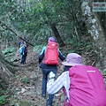 P1600832.jpg