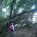 P1600833.jpg