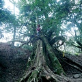 P1600834-2.jpg